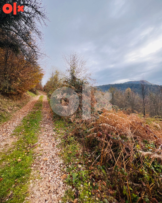 Zemljište Radonjići Pale 15717m2 2