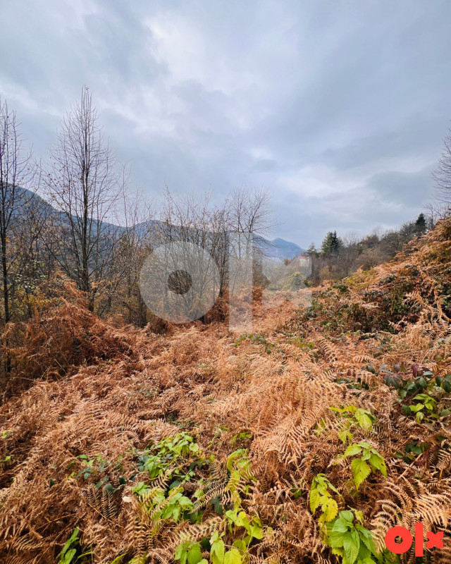 Zemljište Radonjići Pale 15717m2 4