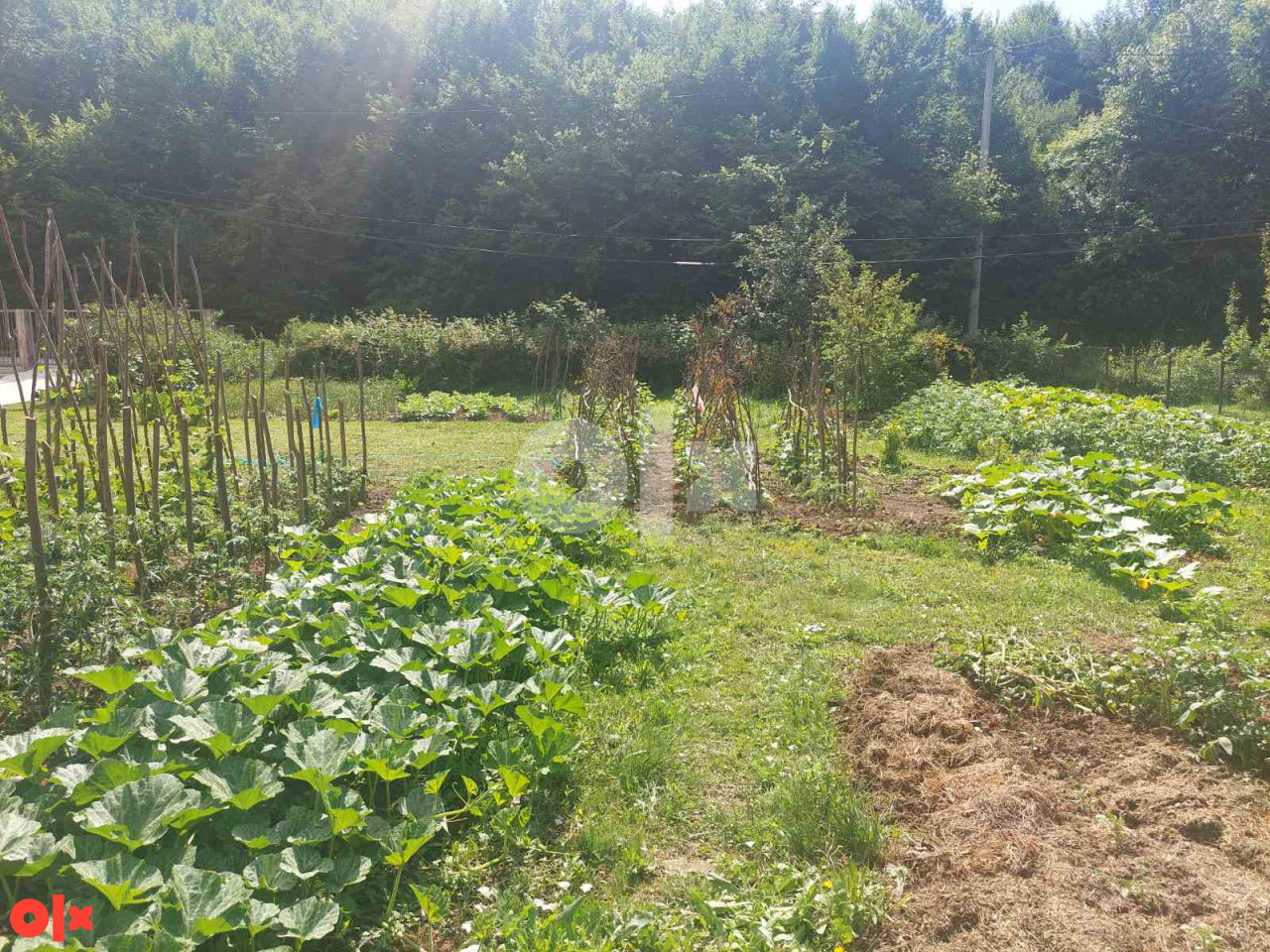 Zemljište Rakovica / 1051 m2 7