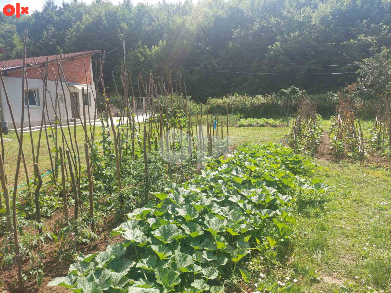 Zemljište Rakovica / 1051 m2 8