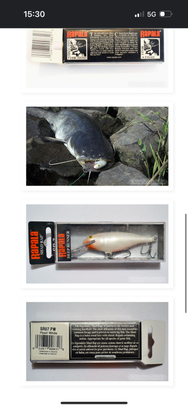 Rapala Shad Rap 7 PW(Sportex,Shimano,Daiwa)