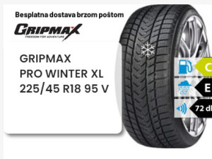 225/45 R 18 95V XL GRIPMAX PRO WINTER
