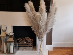 Ukrasna dekorativna pampas trava 120 cm 12/1