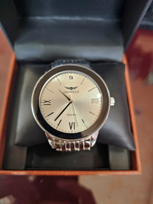 Gianello Rucni Sat GNL7762SS 43mm