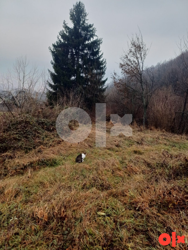 Imanje u Semizovcu-Poturovići  10000m2 2