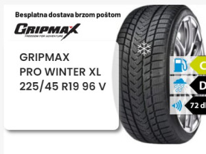 225/45 R 19 96V XL GRIPMAX PRO WINTER