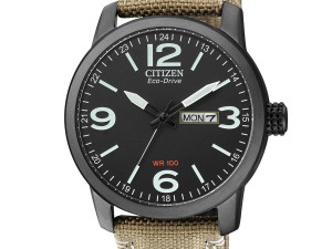 DETAS.BA Citizen Eco-Drive muški sat BM8476-23E