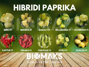 HIBRIDNA HIBRIDI SJEMENA SJEME PAPRIKA CJENOVNIK U OPISU