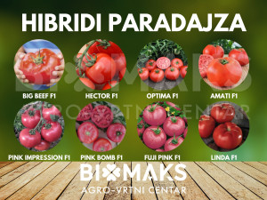 HIBRIDNA HIBRIDI SJEMENA SJEME PARADAJZA CJENOVNIK U OPISU