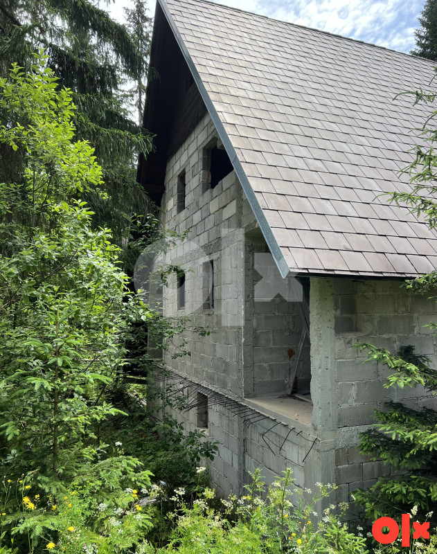 Velika Vikendica sa 3 Apartmana Vlasic Babanovac 2