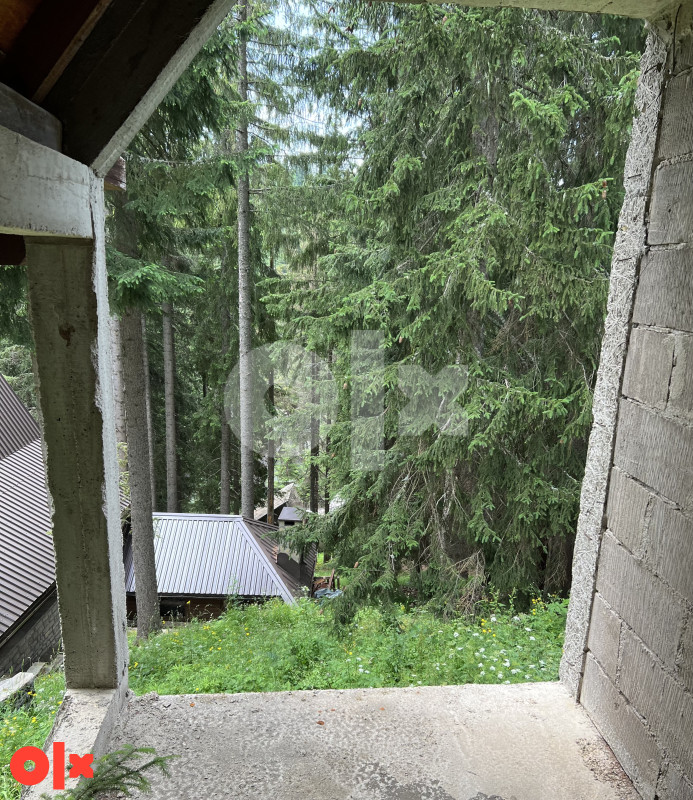 Velika Vikendica sa 3 Apartmana Vlasic Babanovac 4