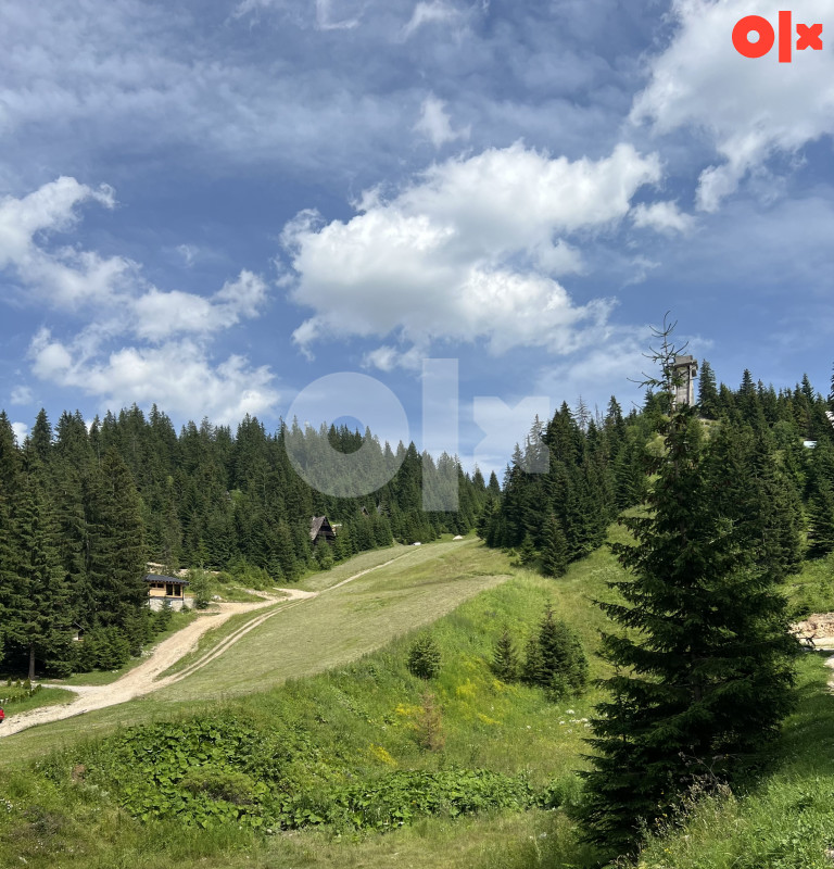Velika Vikendica sa 3 Apartmana Vlasic Babanovac 10