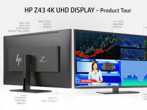MONITOR HP Z43 Monitor 4K UHD Display 42.5"