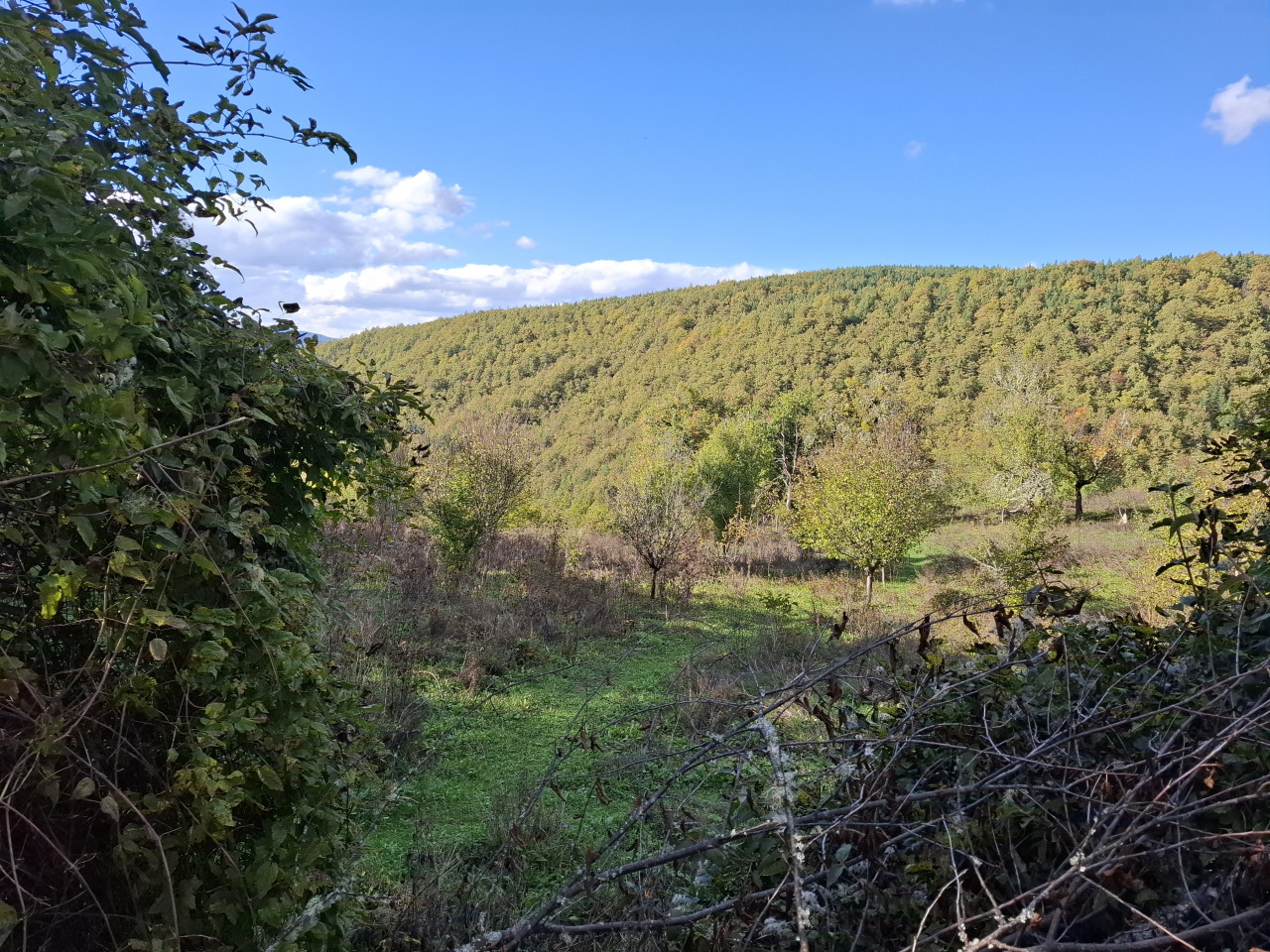 EOS / Zemljište / Rogatica / 23.638 m2 2