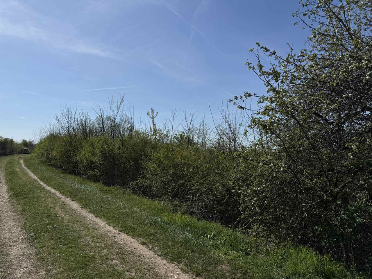EOS / Zemljište, Bardača / Gradiška / 7.248 m2 2