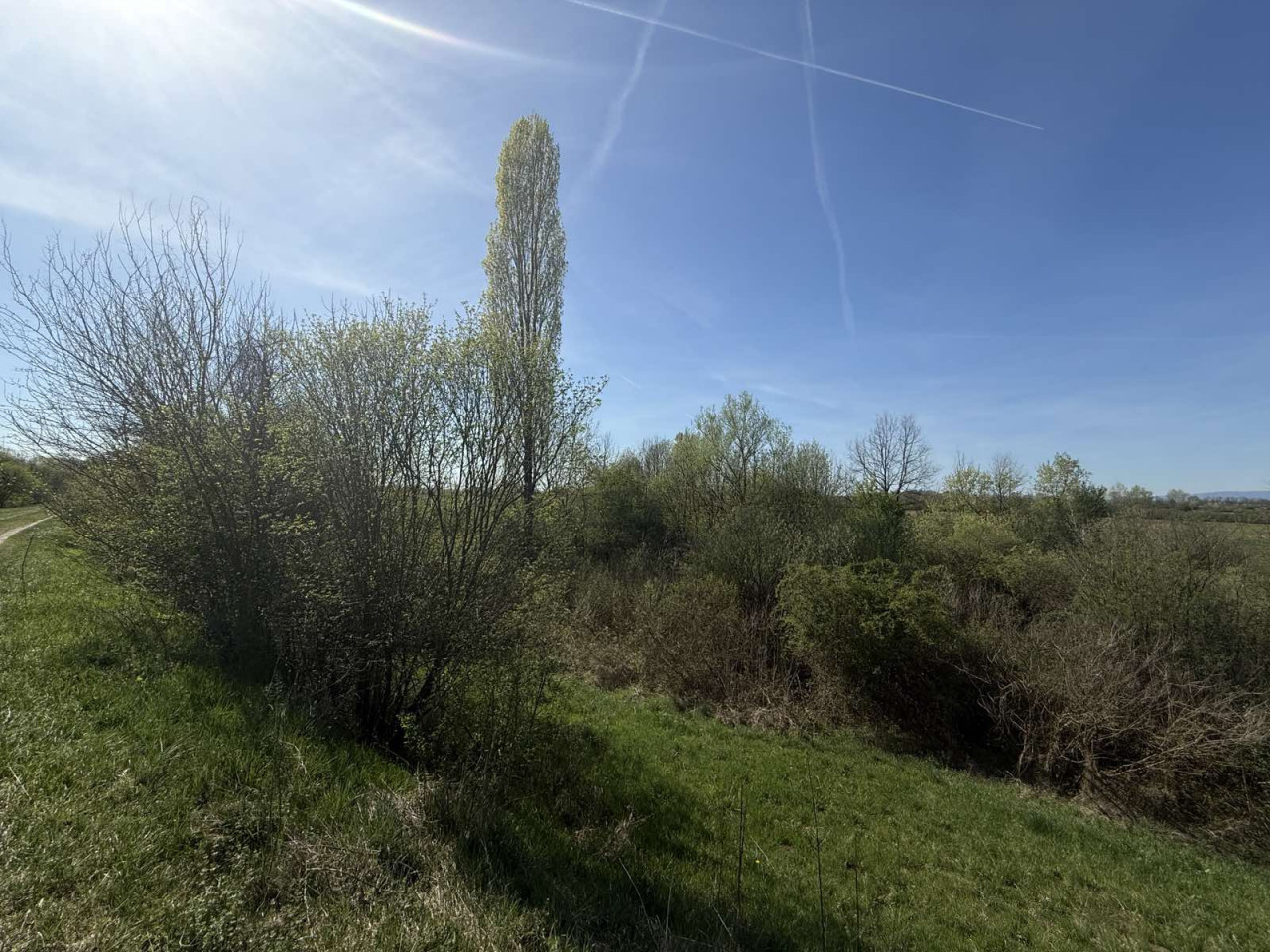EOS / Zemljište, Bardača / Gradiška / 7.248 m2 3