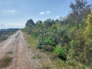EOS / Zemljište, Bardača / Gradiška / 7248