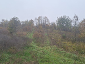 EOS / Zemljište / Prijedor / 153100 m2
