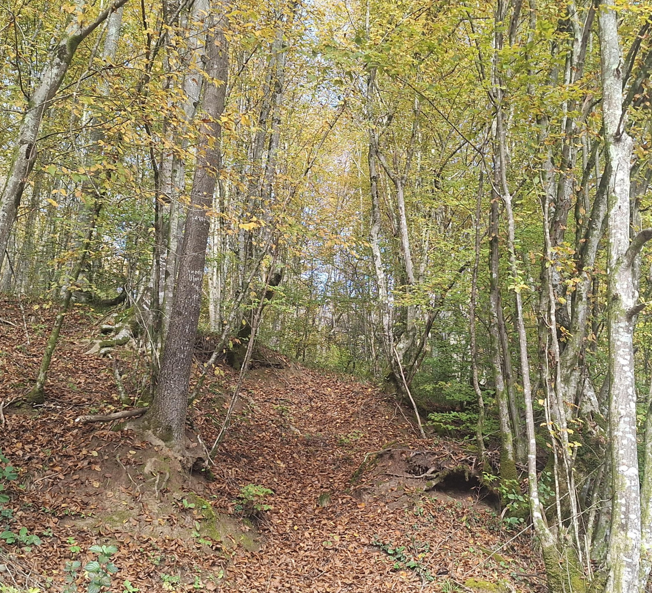 EOS / Zemljište / Novi Grad