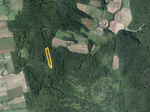 EOS / Zemljište sa šumom / Kozarska Dubica / 4977 m2