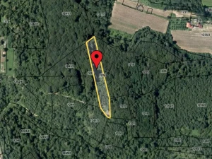 EOS / Zemljište sa šumom / Kozarska Dubica / 4977 m2