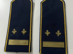 Cinovi ARBiH ljiljan