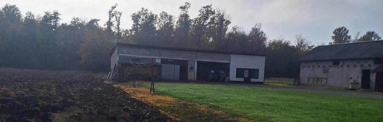 EOS / Kuća Cerovljani /  Gradiška / 240 m2 2