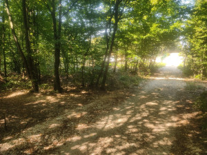 Zemljište lukavica - Tilava