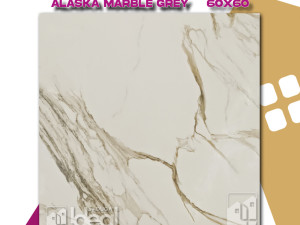 PLOČICA 60 x 60 C23760