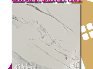 PLOČICA 60 x 60 C35640