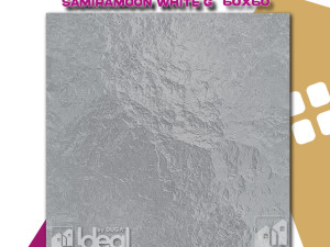 PLOČICA 60 x 60 C220231
