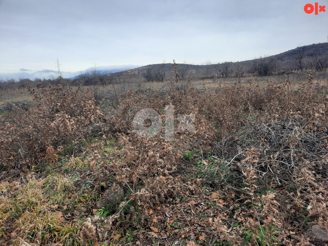 ALMENA/Čapljina/Lokve,zemljište na prodaju 9900 m2 2