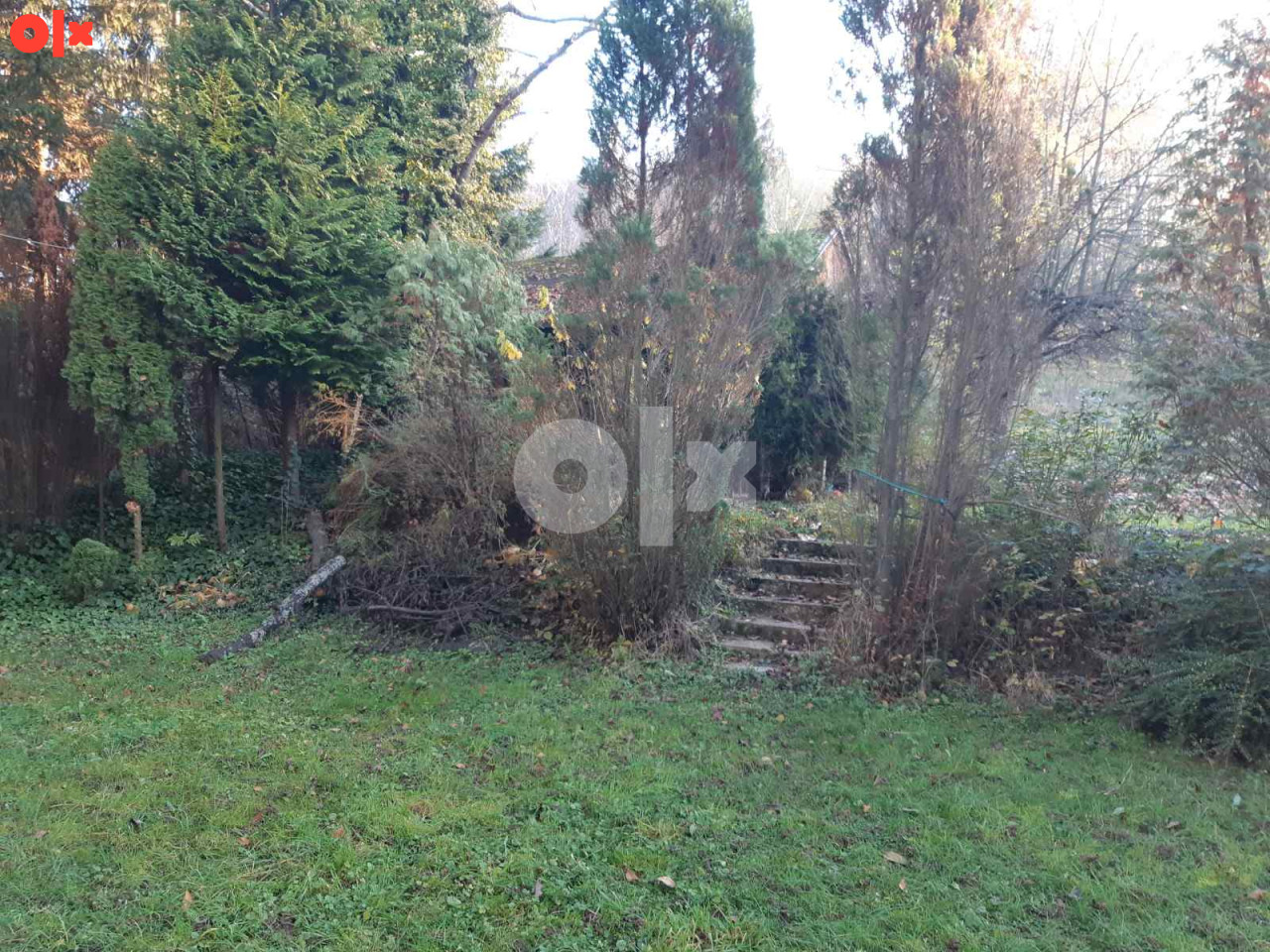 Kuća Vitez - Gradina 300m2 2