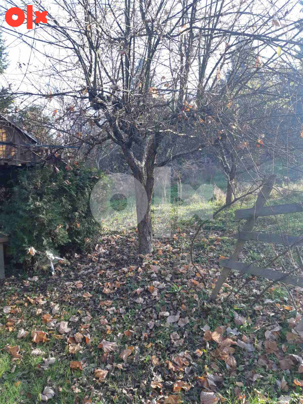 Kuća Vitez - Gradina 300m2 5