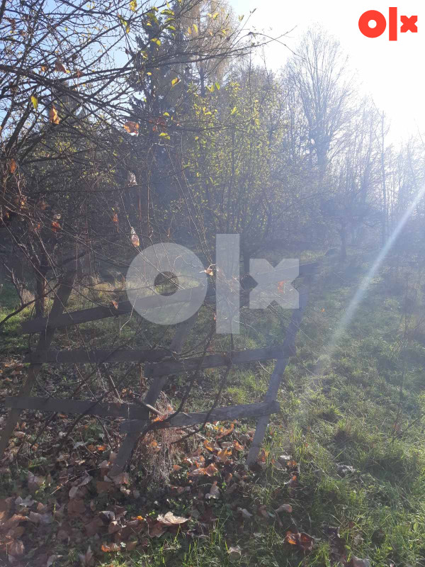 Kuća Vitez - Gradina 300m2 7