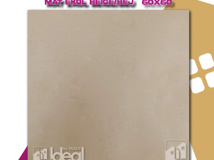 PLOČICA 60 x 60 C201219