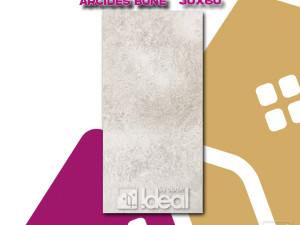 PLOČICA 30 x 60 C201208