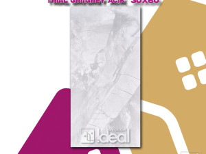 PLOČICA 30 x 60 C201216