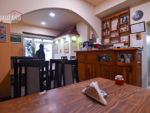 BAULAND/ Opremljen poslovni prostor/ Mis Irbina, Centar