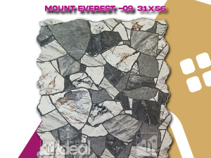 PLOČICA 31 x 56 C0306