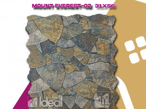 PLOČICA 31 x 56 C12037