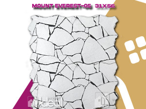 PLOČICA 31 x 56 C12039