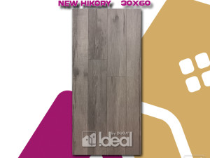 PLOČICA 30 x 60 C4679