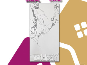 PLOČICA 30 x 60 C1906