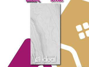 PLOČICA 30 x 60 C220244