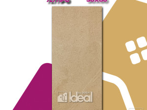 PLOČICA 30 x 60 C220239