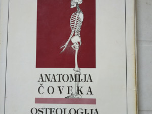 Anatomija čoveka osteologija