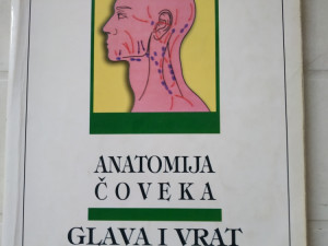 Anatomija čoveka glava i vrat
