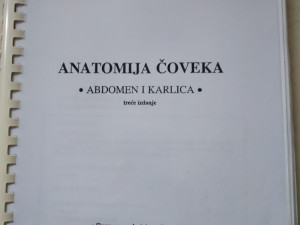 Anatomija čoveka abdomen i karlica