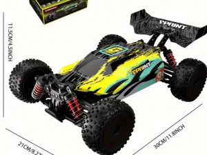 RC Mania - Autic na daljinski, buggy 1/16 4x4, poklon